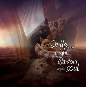 Meet your Posher, Janet